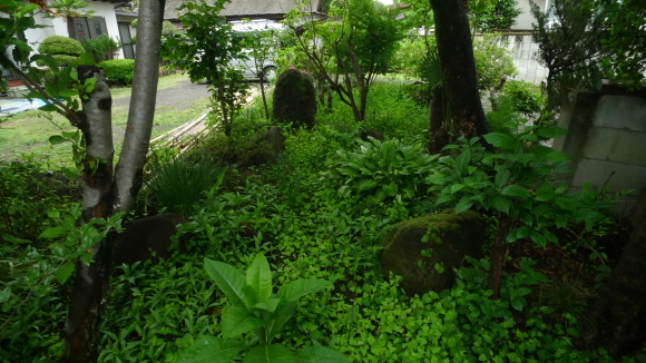 c0212083_15223744.jpg