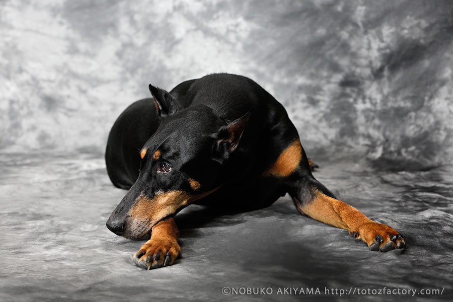 TAKA_a0034287_11313357.jpg