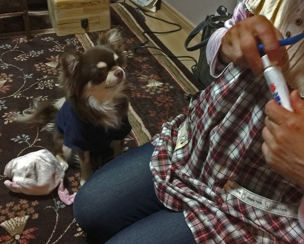 f0229190_20165793.jpg