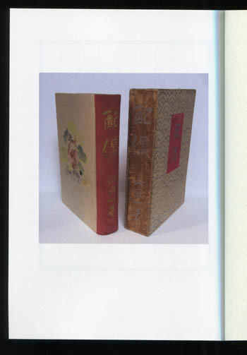 初稿 配偶 : daily-sumus2