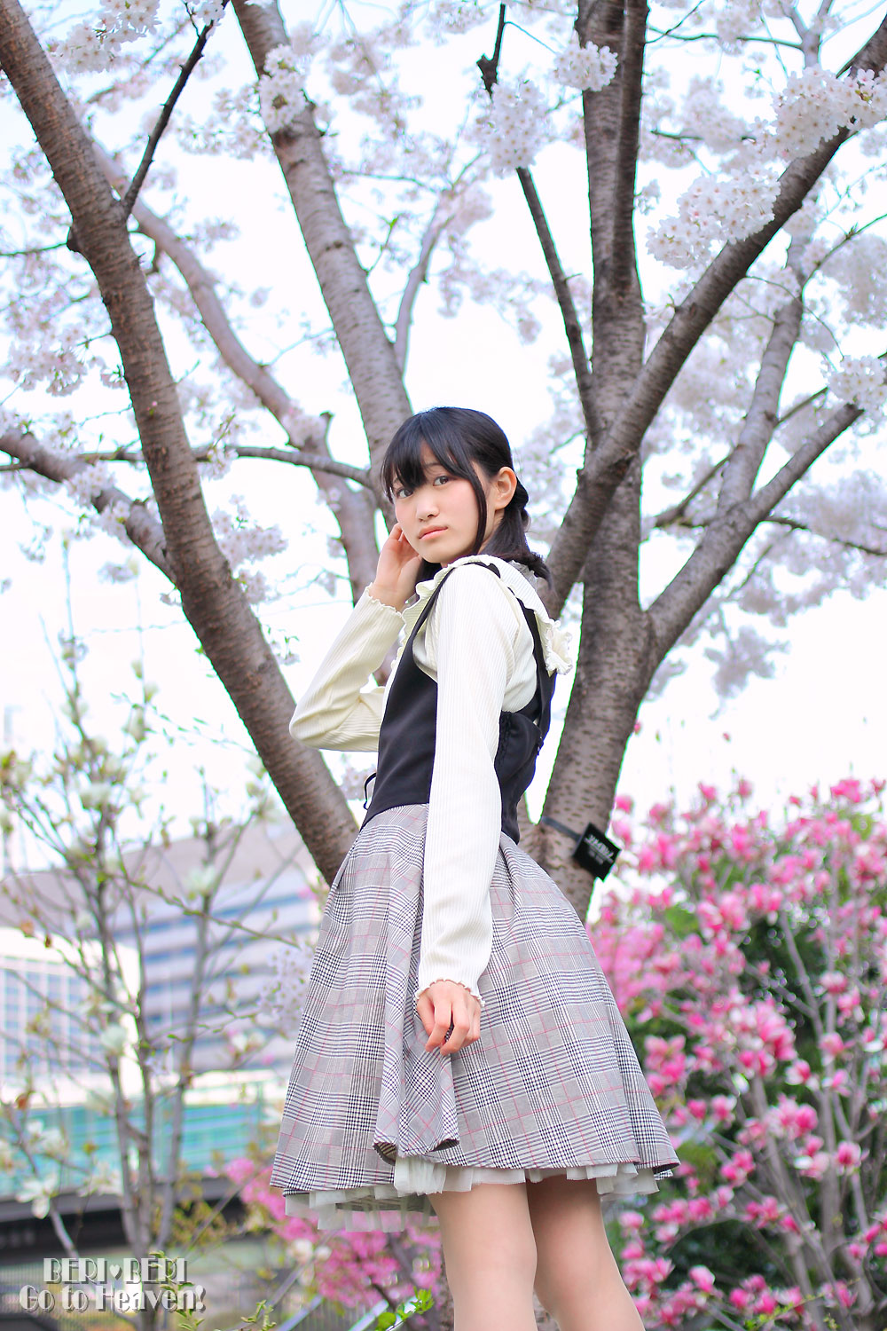 みくにさん 中之島 桜ポトレ 其の壱_d0150493_20535368.jpg