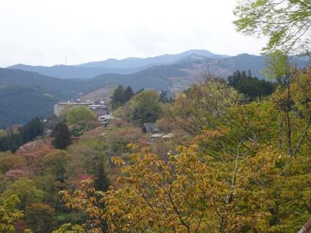 京都の桜と吉野山千本桜 金峯山寺 吉野山 あたはママの素敵な日々 京都の桜と吉野山千本桜 金峯山寺 吉野山 あたはママの素敵な日々