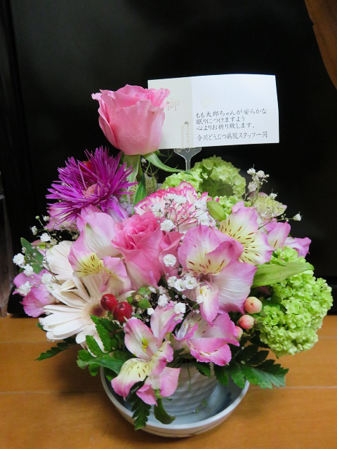 f0346196_08403253.jpg