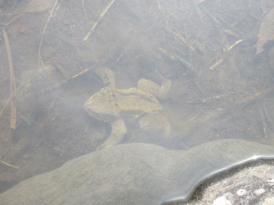 c0221299_187568.jpg