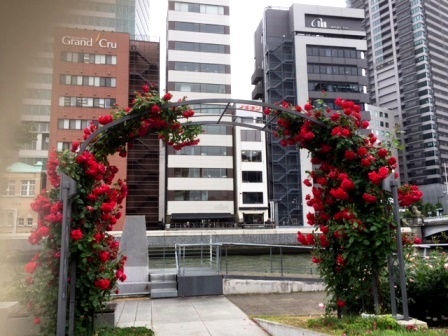 b0128101_15080879.jpg