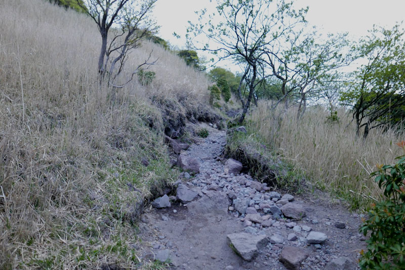 d0161702_19114932.jpg