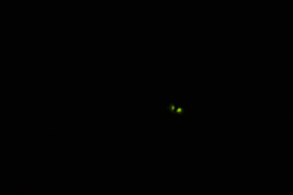 f0365212_21224628.jpg