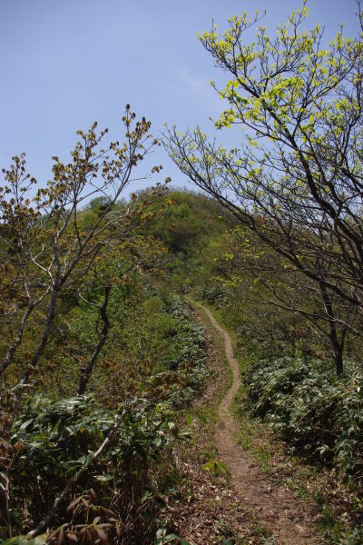 d0341514_21084490.jpg