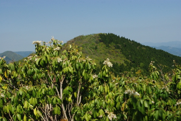 d0341514_21090894.jpg