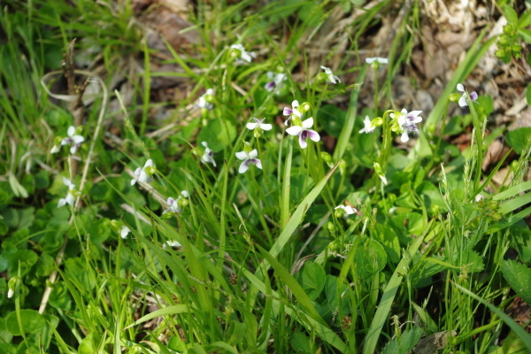d0341514_21123165.jpg