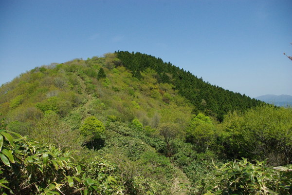 d0341514_21131810.jpg