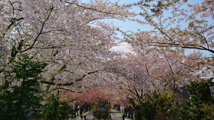 e0126914_21062111.jpg