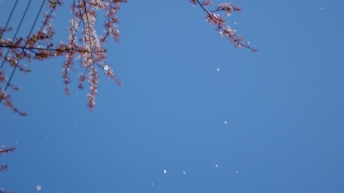 e0126914_21062436.jpg