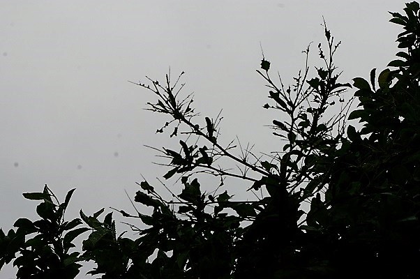 b0275715_14175073.jpg