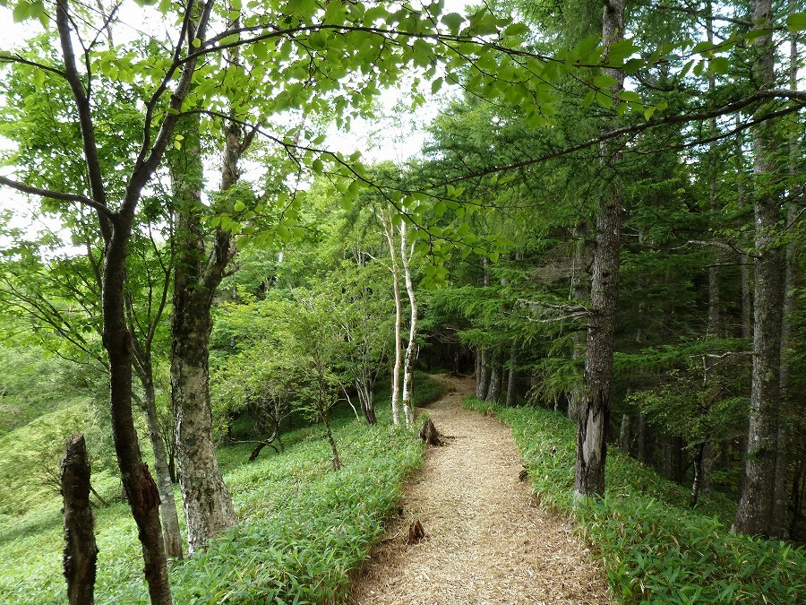 尾高山・御池山_b0353715_18115264.jpg