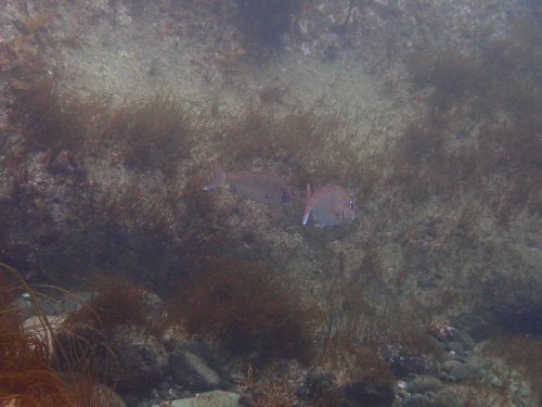 d0070216_17444764.jpg