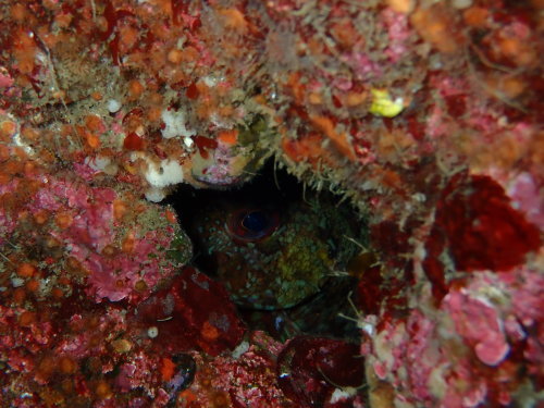 d0070216_17485989.jpg