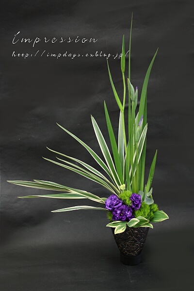 定期装花から キキョウラン Impression Days