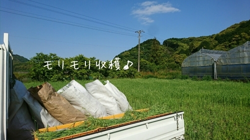 b0187620_18052207.jpg