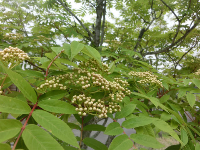 a0206621_09513185.jpg