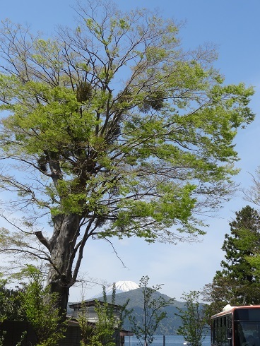 f0000521_21192427.jpg
