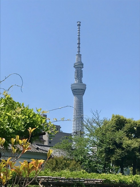 d0352022_17044005.jpg
