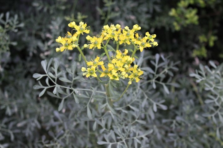 f0354923_00250087.jpg