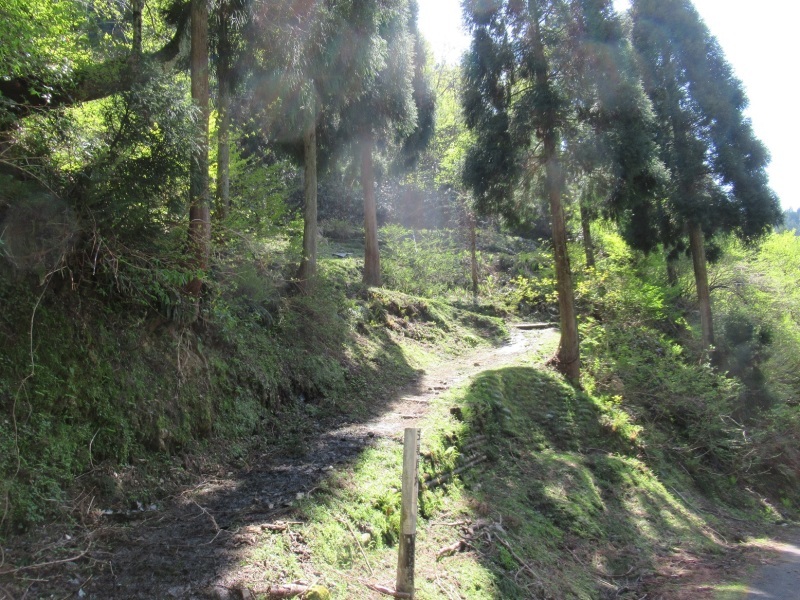 d0314924_09145518.jpg
