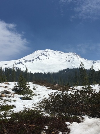e0131324_10575181.jpg