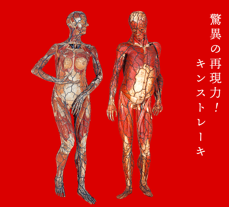 b0054329_07392159.png
