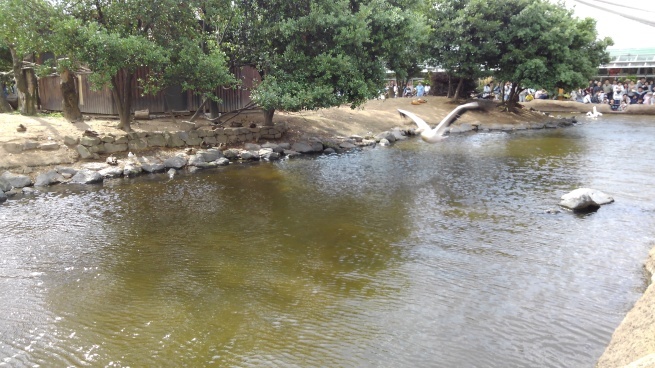 c0236632_15545367.jpg