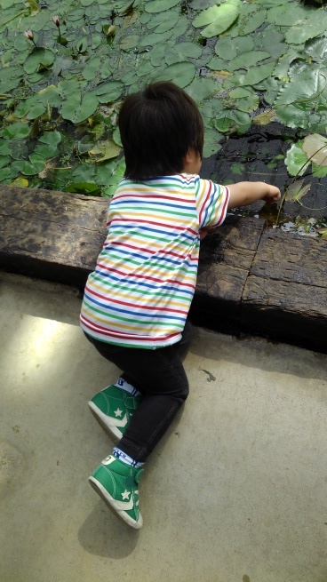 c0236632_15571990.jpg