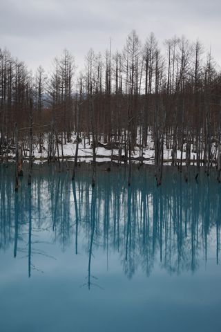 b0042334_082324.jpg
