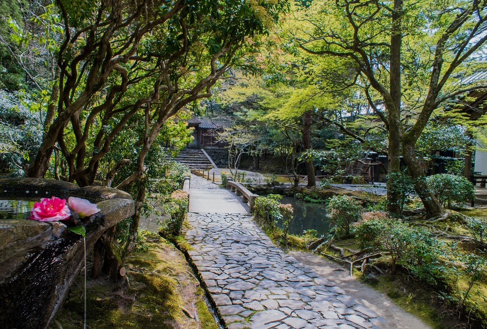 法然院～春季伽藍内の特別拝観_e0363038_09332058.jpg