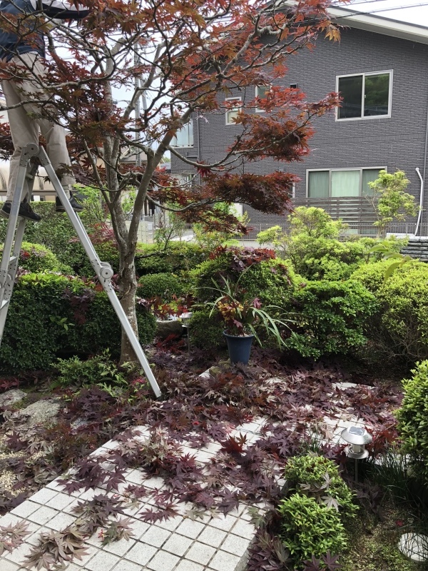 d0282139_12311958.jpeg