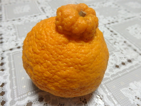 a0054240_21022137.jpg