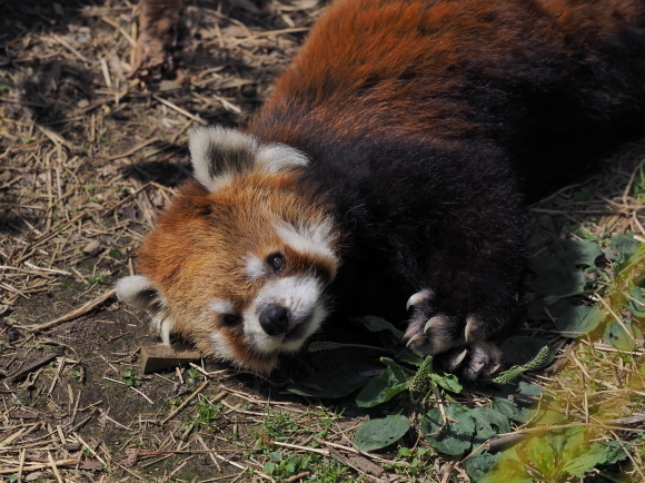 a0149740_17320434.jpg