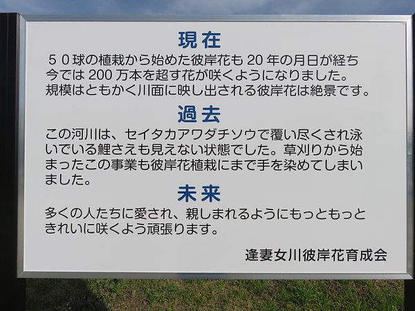 2018年5月19日　彼岸花の看板が新しくなりました　(^○^)_b0341140_17522792.jpg