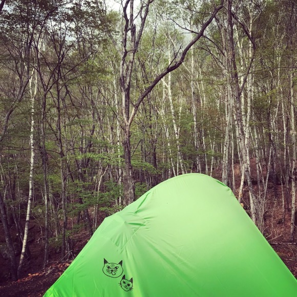 c0209240_09021127.jpeg