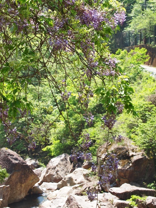 c0281841_12201576.jpg