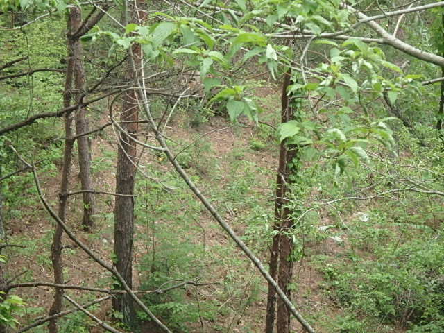 f0334143_21263950.jpg