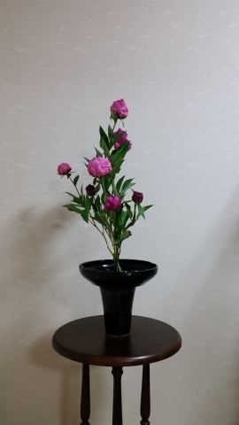 芍薬のいけばな T Y Closet 小柄な大人の針仕事 花のある生活