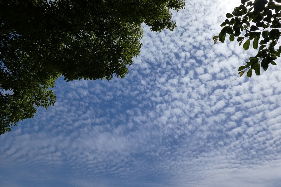 d0288144_11323878.jpg