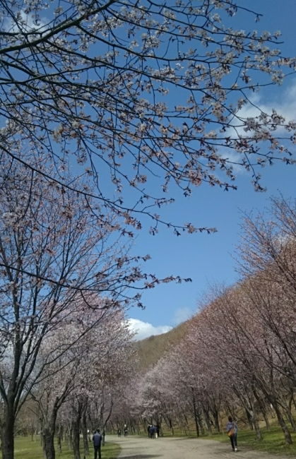 e0262444_07132300.jpg