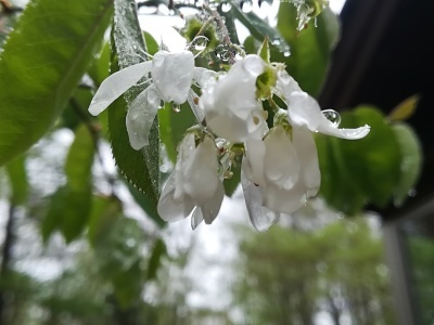 b0126549_09455909.jpg