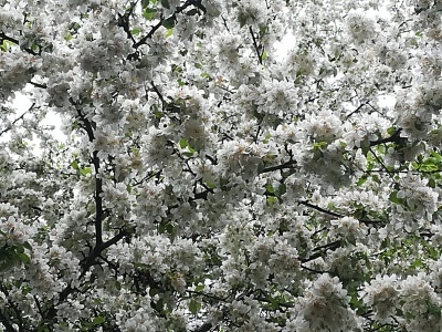 b0126549_09460359.jpg