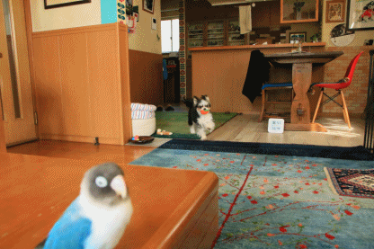 c0145250_09265311.gif