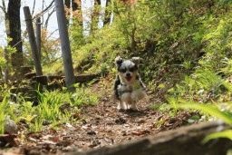 c0145250_09472285.gif