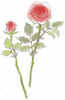 d0075453_00190536.gif