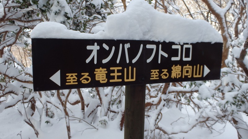 c0097754_11062697.jpg
